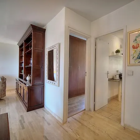 Attique Antibois - Piscine - Vue - Parking - Wifi Apartment